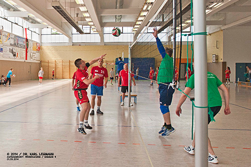 Volleyballturnier der Vereine 2014_11
